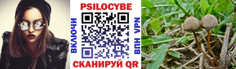 Галлюциногенные грибы мицелий  Алейск 