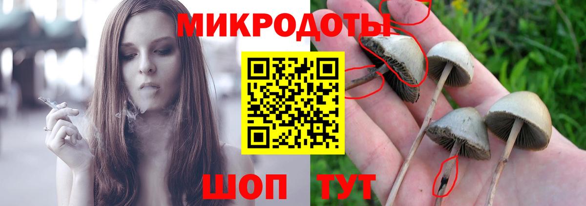 Алейск  Псилоцибиновые грибы Psilocybine cubensis  Псилоцибиновые грибы Magic Shrooms  купить наркотик  Вход с VPN 